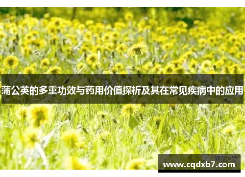 蒲公英的多重功效与药用价值探析及其在常见疾病中的应用