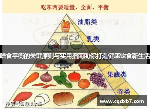 膳食平衡的关键原则与实用指南助你打造健康饮食新生活