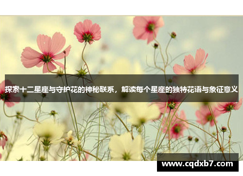 探索十二星座与守护花的神秘联系，解读每个星座的独特花语与象征意义