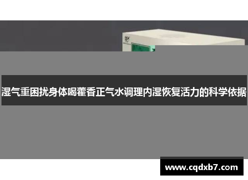 湿气重困扰身体喝藿香正气水调理内湿恢复活力的科学依据