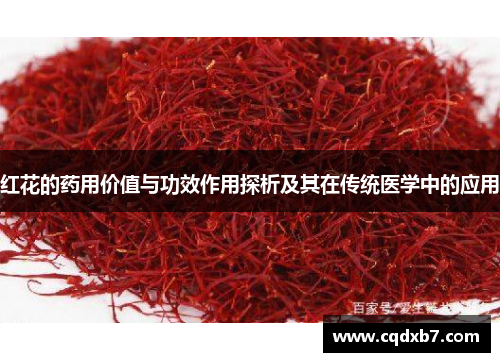 红花的药用价值与功效作用探析及其在传统医学中的应用