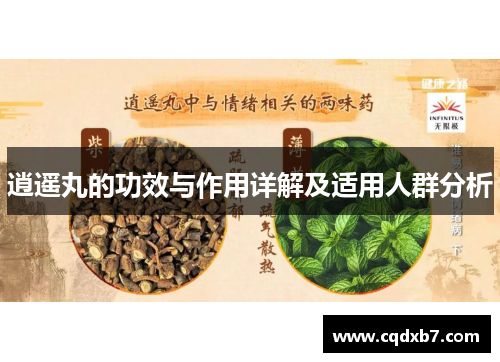 逍遥丸的功效与作用详解及适用人群分析