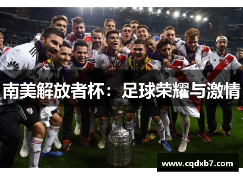 南美解放者杯：足球荣耀与激情